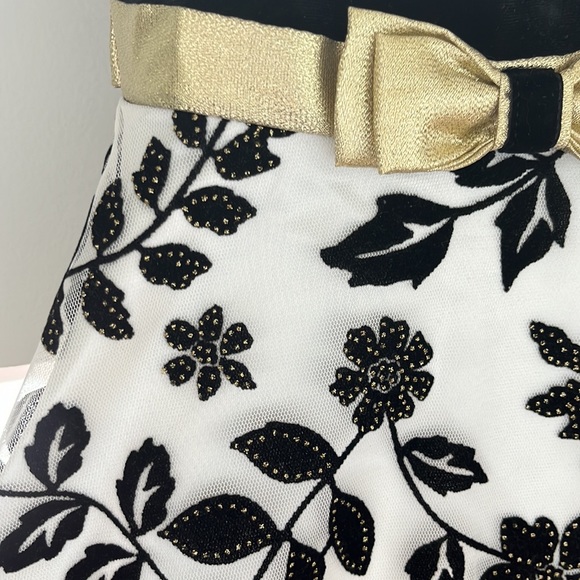 Toddler girl special occasion dress - Picture 2 of 4